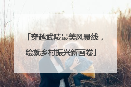 穿越武陵最美风景线，绘就乡村振兴新画卷
