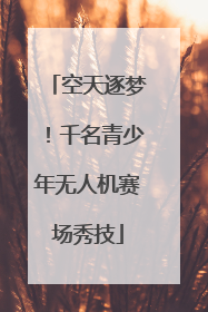 空天逐梦！千名青少年无人机赛场秀技