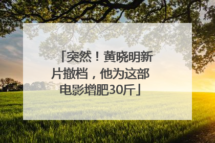 突然！黄晓明新片撤档，他为这部电影增肥30斤