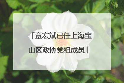 章宏斌已任上海宝山区政协党组成员