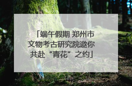 端午假期 郑州市文物考古研究院邀你共赴“青花”之约