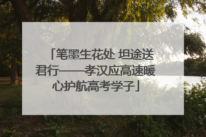 笔墨生花处 坦途送君行——孝汉应高速暖心护航高考学子