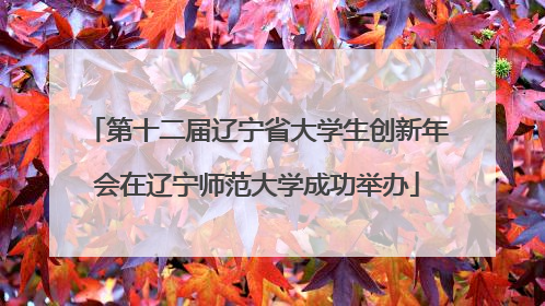 第十二届辽宁省大学生创新年会在辽宁师范大学成功举办
