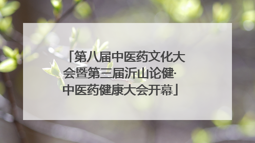 第八届中医药文化大会暨第三届沂山论健·中医药健康大会开幕