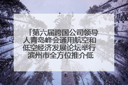 第六届跨国公司领导人青岛峰会通用航空和低空经济发展论坛举行 滨州市全方位推介低空经济发展优势