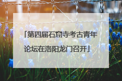 第四届石窟寺考古青年论坛在洛阳龙门召开