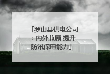 罗山县供电公司：内外兼顾 提升防汛保电能力