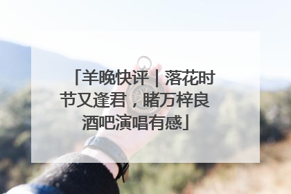 羊晚快评｜落花时节又逢君，睹万梓良酒吧演唱有感