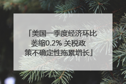 美国一季度经济环比萎缩0.2% 关税政策不确定性拖累增长