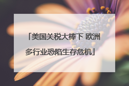 美国关税大棒下 欧洲多行业恐陷生存危机