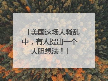 美国这场大骚乱中，有人提出一个大胆想法！