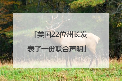 美国22位州长发表了一份联合声明