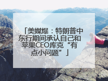 美媒爆：特朗普中东行期间承认自己和苹果CEO库克“有点小问题”