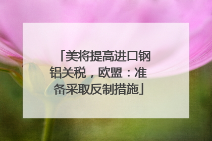 美将提高进口钢铝关税，欧盟：准备采取反制措施
