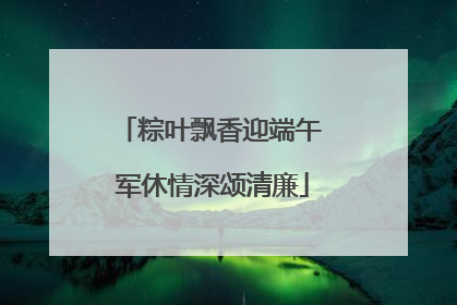 粽叶飘香迎端午 军休情深颂清廉
