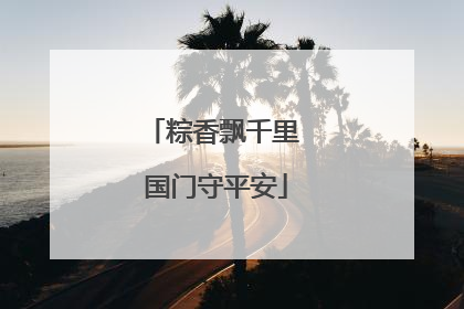 粽香飘千里 国门守平安