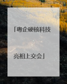 粤企硬核科技亮相上交会