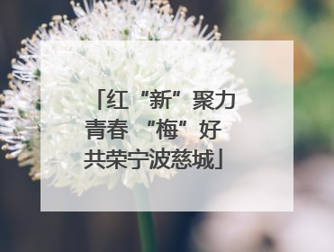 红“新”聚力青春 “梅”好共荣宁波慈城