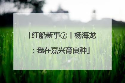 红船新事⑦丨杨海龙：我在嘉兴育良种