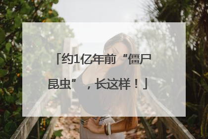 约1亿年前“僵尸昆虫”，长这样！