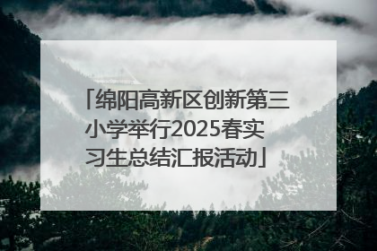 绵阳高新区创新第三小学举行2025春实习生总结汇报活动