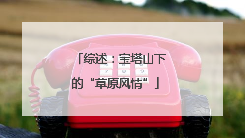 综述：宝塔山下的“草原风情”