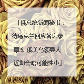 俄总统新闻秘书：待乌克兰回应备忘录草案 俄美乌领导人近期会晤可能性小
