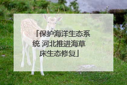 保护海洋生态系统 河北推进海草床生态修复