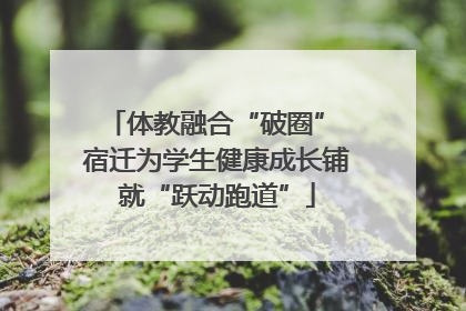 体教融合“破圈” 宿迁为学生健康成长铺就“跃动跑道”