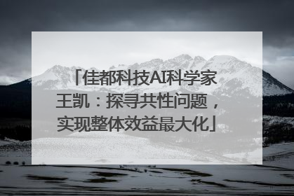 佳都科技AI科学家王凯：探寻共性问题，实现整体效益最大化