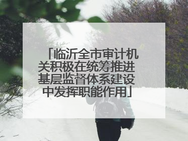 临沂全市审计机关积极在统筹推进基层监督体系建设中发挥职能作用