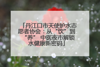 丹江口市天使护水志愿者协会：从“饮”到“养” 中医夜市解锁水健康新密码