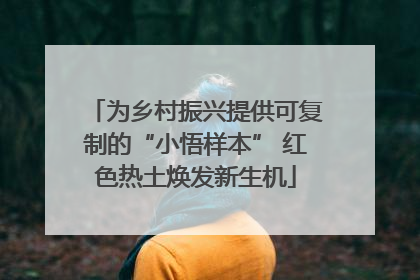 为乡村振兴提供可复制的“小悟样本” 红色热土焕发新生机