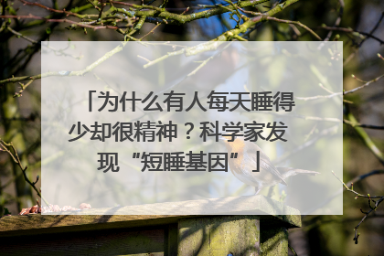 为什么有人每天睡得少却很精神？科学家发现“短睡基因”