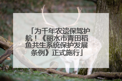 为千年农遗保驾护航！《丽水市青田稻鱼共生系统保护发展条例》正式施行