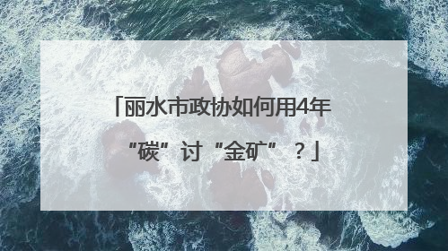 丽水市政协如何用4年“碳”讨“金矿”？