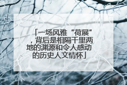 一场风雅“荷展”，背后是相隔千里两地的渊源和令人感动的历史人文情怀