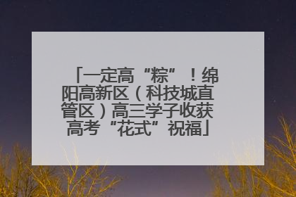 一定高“粽”！绵阳高新区（科技城直管区）高三学子收获高考“花式”祝福