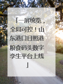 一屏统览，全局可控！山东港口日照港粮食码头数字孪生平台上线
