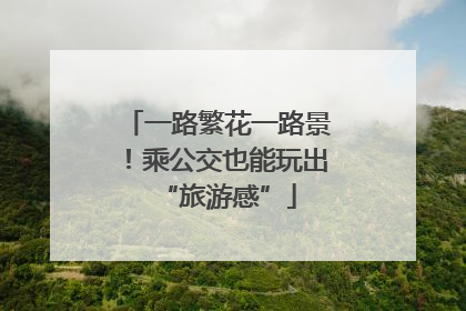一路繁花一路景！乘公交也能玩出“旅游感”