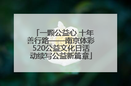 一颗公益心 十年善行路——南京体彩520公益文化日活动续写公益新篇章