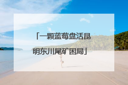 一颗蓝莓盘活昆明东川尾矿困局