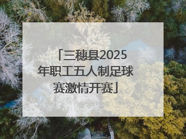 三穗县2025年职工五人制足球赛激情开赛