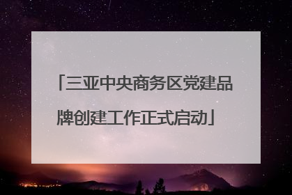 三亚中央商务区党建品牌创建工作正式启动