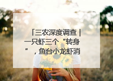 三农深度调查｜一只虾三个“转身”，鱼台小龙虾消费季升级