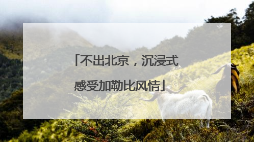 不出北京，沉浸式感受加勒比风情