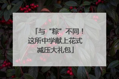 与“粽”不同！这所中学献上花式减压大礼包