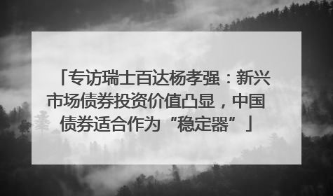 专访瑞士百达杨孝强：新兴市场债券投资价值凸显，中国债券适合作为“稳定器”