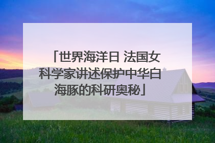 世界海洋日 法国女科学家讲述保护中华白海豚的科研奥秘