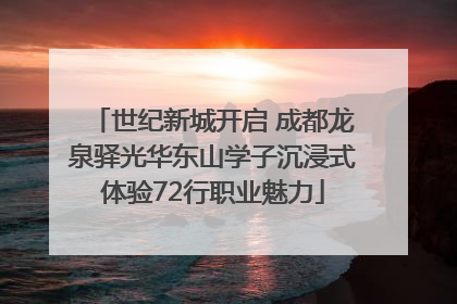 世纪新城开启 成都龙泉驿光华东山学子沉浸式体验72行职业魅力